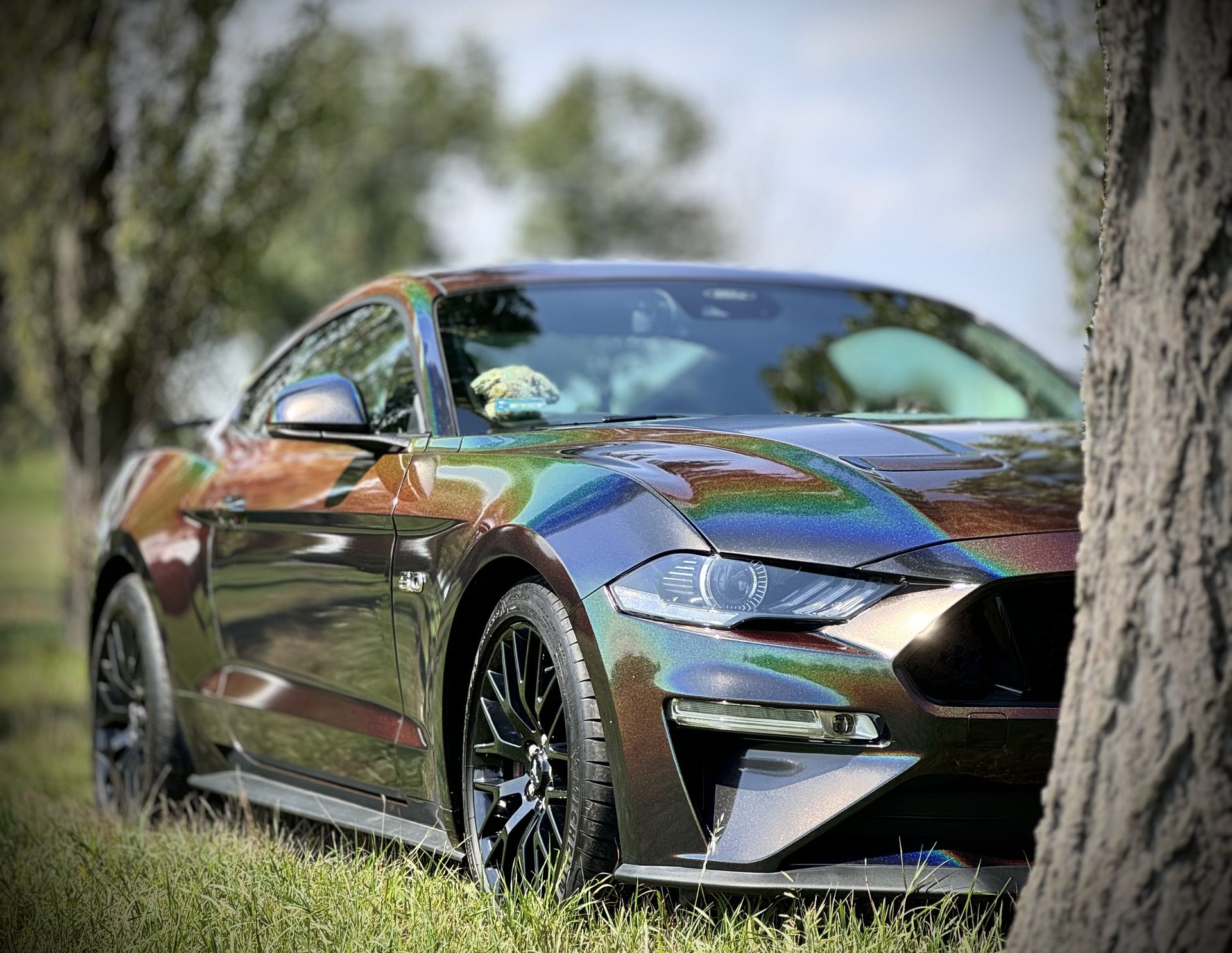 Premium auto w studio detailingu Visual Modification